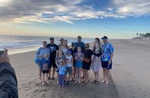 Mazatlan Baby Sea Turtle Conservation Encounter and Beach Day
