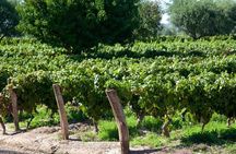Bodega Lagarde Wine Tasting Experience