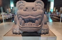 Anthropology Museum : Uncover Mexico's Story with a Private Guide