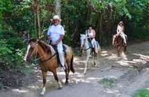 Horseback Riding in Puerto Plata Beach and Caribbean Views