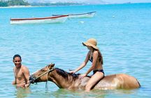 Horseback Riding in Puerto Plata Beach and Caribbean Views