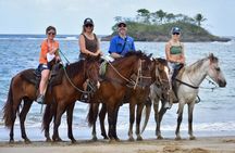 Horseback Riding in Puerto Plata Beach and Caribbean Views