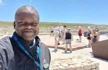 Cape Agulhas, Hermanus Stony Point Penguins Colony Tour