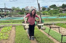 Hoi An Countryside PRIVATE TOUR - Hidden Villages and Rice Fields