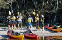 Noosa Everglade Kayak -South/Noosa End - Searching for Stingrays!