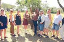 Nairobi National Park Half Day Safari in a 4x4 Vehicle