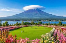Mt. Fuji and Hakone Private Tour with Luxury Vehicle