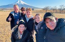Mt. Fuji and Hakone Private Tour with Luxury Vehicle