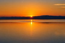 From Valencia Tour to the Albufera of Valencia and Paella