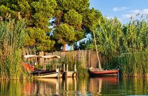 From Valencia Tour to the Albufera of Valencia and Paella
