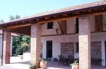 Vineyard & Winery Tour with 3 Wine Tasting near Milano