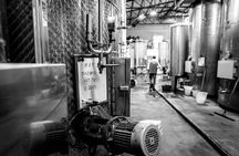 Vineyard & Winery Tour with 3 Wine Tasting near Milano