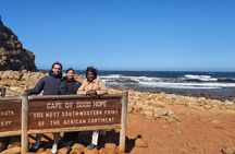 Full-Day Cape of Good Hope and Cape Peninsula Scenic Excursion