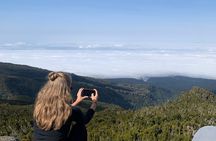 Kilimanjaro Day Hike Adventure