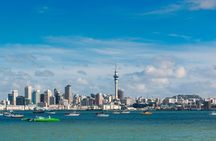 Private Full Day Tour of Auckland from Coast to Coast