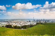 Private Full Day Tour of Auckland from Coast to Coast
