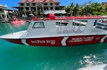 St Anne Marine Park Glass Bottom Boat Tour with BBQ
