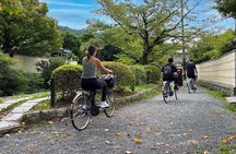 Kyoto: E-Bike Tour - Highlights, Backstreets & Local Secrets