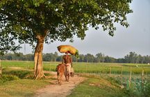 Local Train Journey & Village Life from Delhi