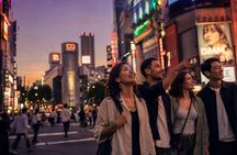 9 Hour Private and Custom Tokyo Tour with English Speaking Driver