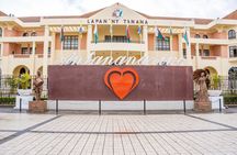 Antananarivo Highlights Private Excursion