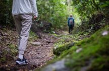 Hakone Zen Walking Tour Following 1,000 Years of Footsteps