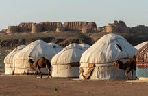 Daytrip to Three Fortresses, Yurt Camps, Camels, Desert Lake