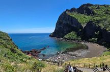 Jeju Private Taxi Tour with English Speaking Guide & Driver