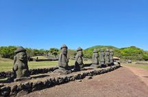Jeju Private Taxi Tour with English Speaking Guide & Driver