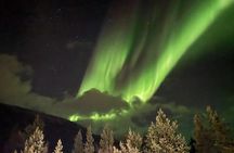 Northern Lights Chase in Alta, Norway with Local Guide