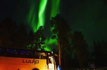 Northern Lights Chase in Alta, Norway with Local Guide