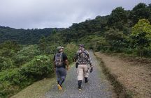 Tapir Valley Night Walk from Papagayo: Wildlife, Frogs and Dinner