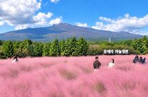 Jeju South-West UNESCO Tour with Pink Muhly Festival