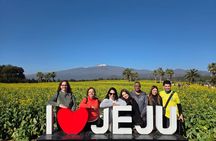 Jeju South-West UNESCO Tour with Pink Muhly Festival