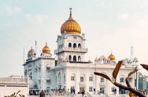 Old and New Delhi Private City Full Day Tour