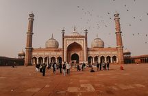 Old and New Delhi Private City Full Day Tour
