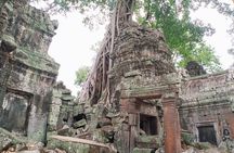 Private Half-Day Tour: Ta Prohm Jungle Temple Highlights