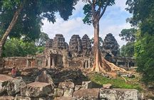Private Half-Day Tour: Ta Prohm Jungle Temple Highlights