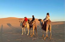 From Cairo: 4x4 Desert Safari, Waterfalls & Magic Lake