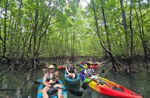 Langkawi : Kilim Geoforest Park Mangrove Kayak Tour with Lunch