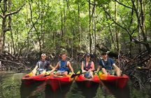 Langkawi : Kilim Geoforest Park Mangrove Kayak Tour with Lunch