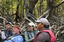Langkawi : Kilim Geoforest Park Mangrove Kayak Tour with Lunch