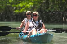 Langkawi : Kilim Geoforest Park Mangrove Kayak Tour with Lunch