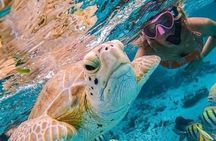 Blue Lagoon Snorkeling : The Soul of East Bali