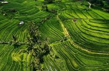 Bali Private 3-Day Tour Packages : Smart Escape