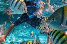 Nusa Penida Island Escape & Snorkeling Adventure