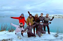 Arctic Fjord Tour with Sami History and Sommarøy Lunch