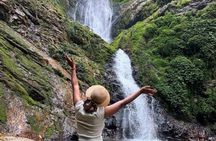 1-Day Nyungwe National Park: Canopy Walk, Zipline & Waterfall