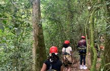 1-Day Nyungwe National Park: Canopy Walk, Zipline & Waterfall