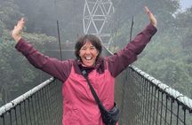 1-Day Nyungwe National Park: Canopy Walk, Zipline & Waterfall
